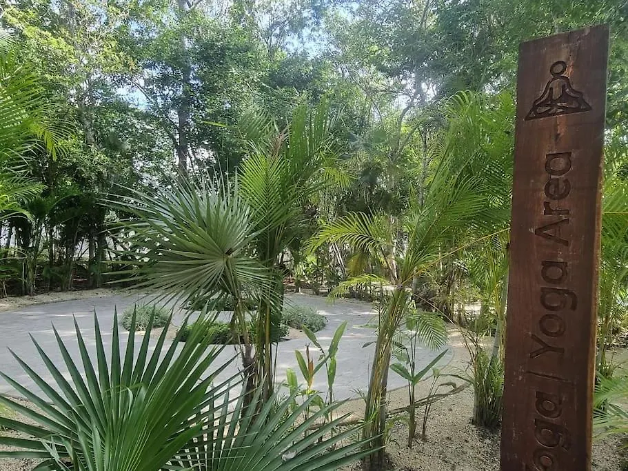 Hermoso Condominio Con Alberca En Puerto Morelos Messico